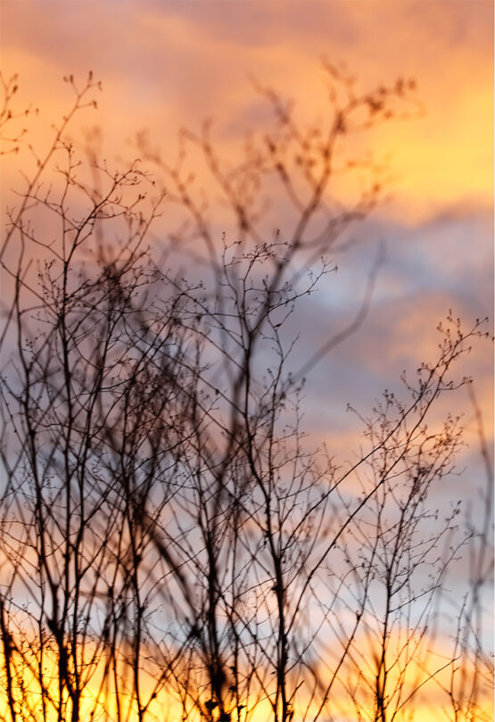 im Sonnenuntergang