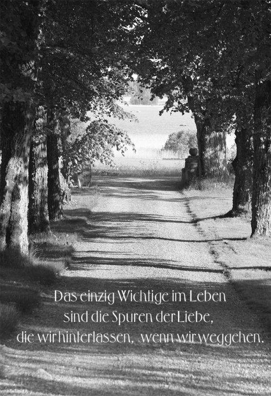 Allee