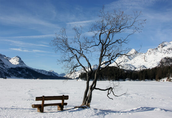 Stille im Engadin