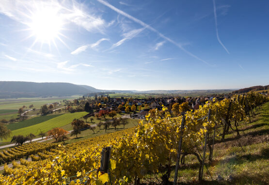 Löhningen im Herbst
