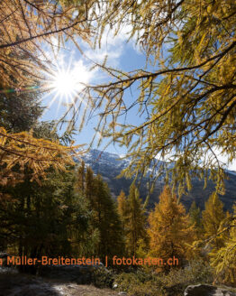 Herbstsonne im Wallis