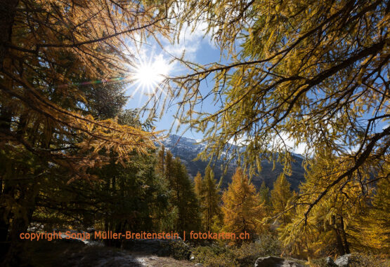 Herbstsonne im Wallis