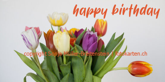 Tulpenstrauss - happy birthday
