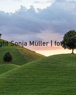 Drumlins